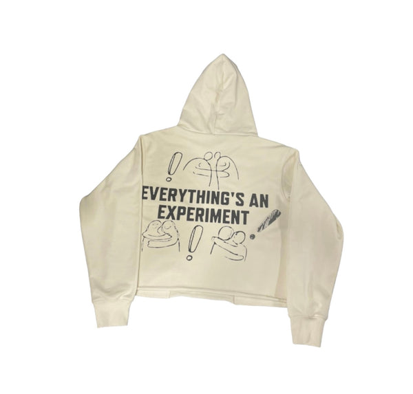 Everything Is An Experiment Crop Hoodie